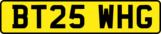 BT25WHG