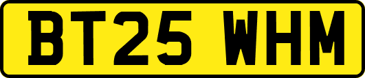 BT25WHM
