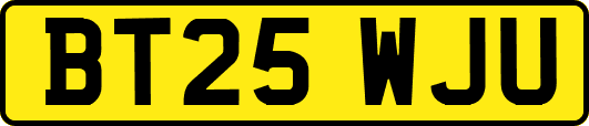 BT25WJU