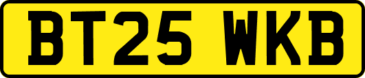 BT25WKB