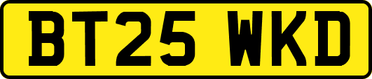 BT25WKD