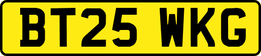 BT25WKG