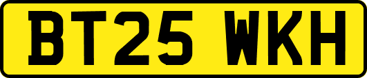 BT25WKH