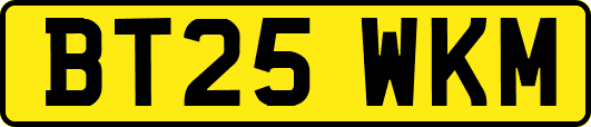 BT25WKM