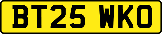 BT25WKO