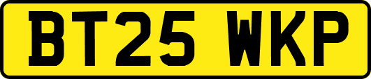 BT25WKP