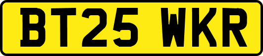 BT25WKR