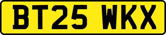 BT25WKX