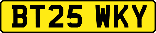 BT25WKY