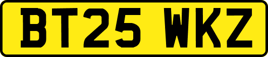 BT25WKZ