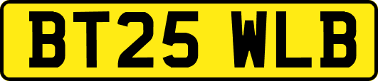 BT25WLB