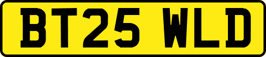 BT25WLD