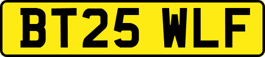 BT25WLF