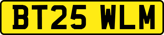BT25WLM