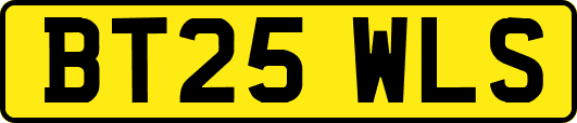 BT25WLS