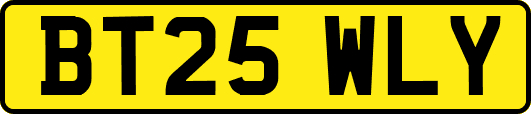 BT25WLY