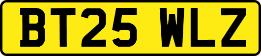 BT25WLZ