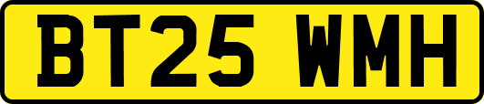 BT25WMH