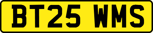 BT25WMS