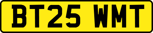 BT25WMT