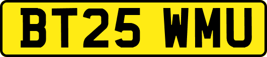 BT25WMU