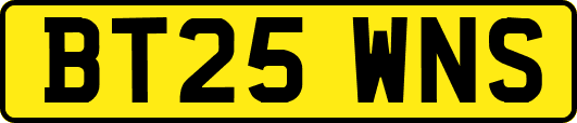 BT25WNS
