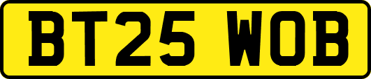 BT25WOB