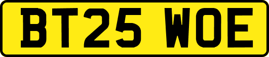 BT25WOE