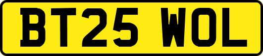 BT25WOL