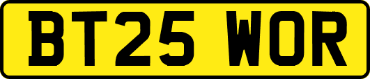 BT25WOR