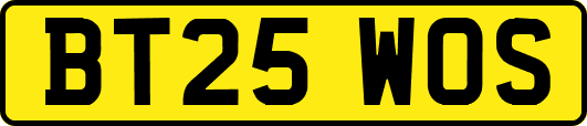 BT25WOS
