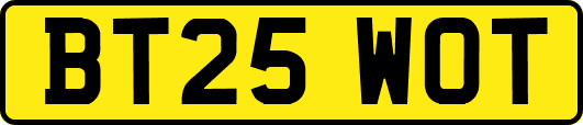 BT25WOT