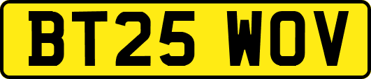 BT25WOV