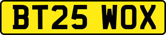 BT25WOX