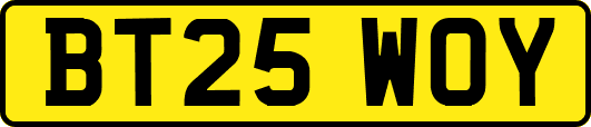 BT25WOY