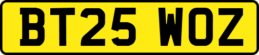 BT25WOZ
