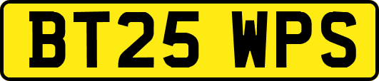 BT25WPS