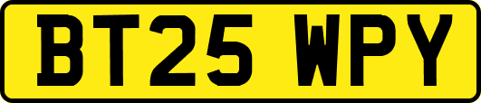 BT25WPY
