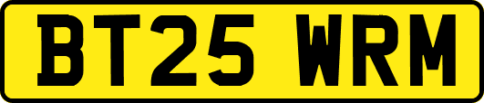 BT25WRM