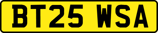 BT25WSA