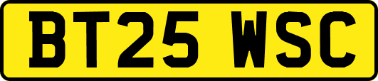 BT25WSC