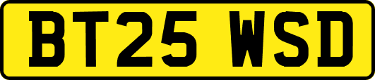 BT25WSD