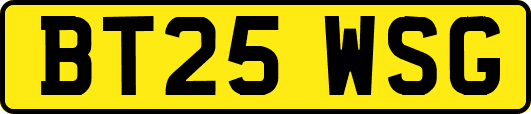 BT25WSG