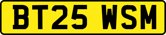BT25WSM