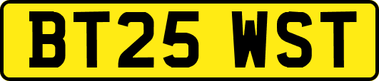 BT25WST