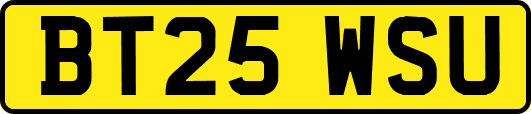 BT25WSU