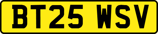 BT25WSV