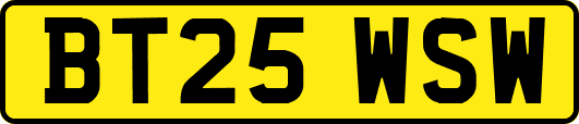 BT25WSW