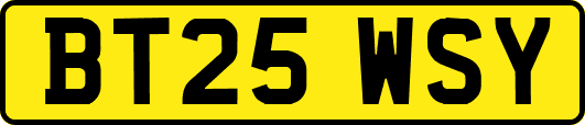 BT25WSY