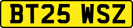 BT25WSZ